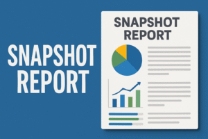 snapshot digital marketing snapshot for local businesses